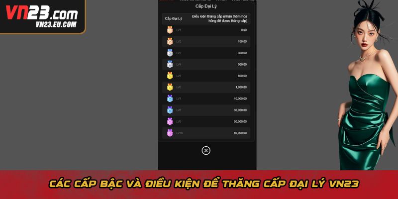 Các cấp bậc và điều kiện để thăng cấp đại lý VN23